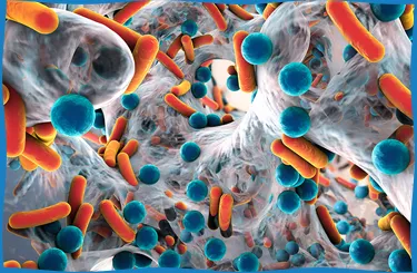 Biocide & Disinfectant